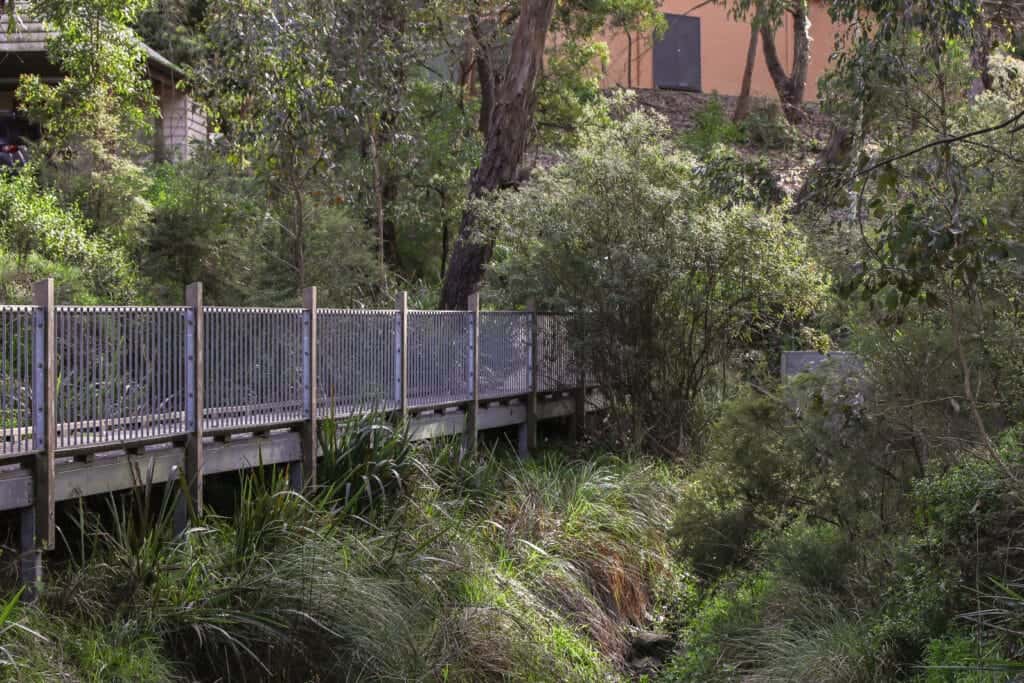 Metal-railed boardwalk through woodland