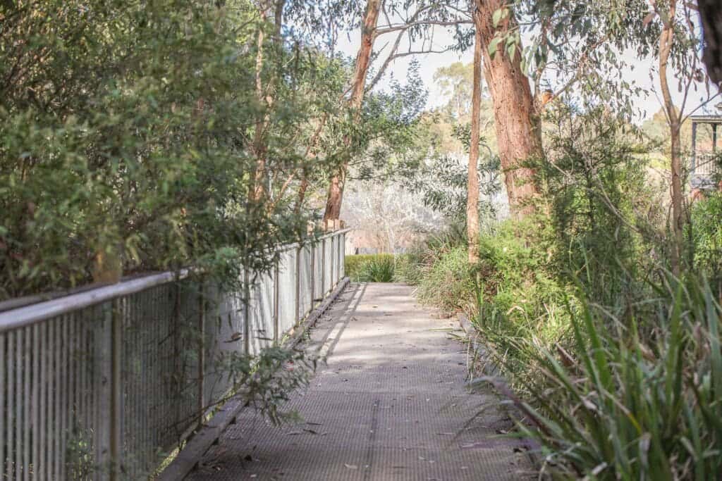 Boardwalk with railings through trees