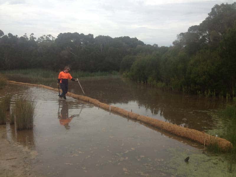 Worker beside netting on a lakeshore