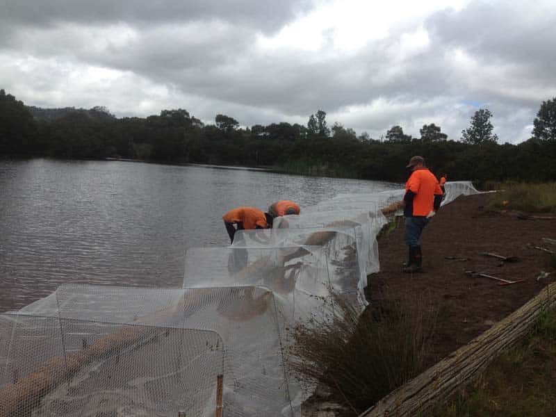 Workers installing netting beside a lake
