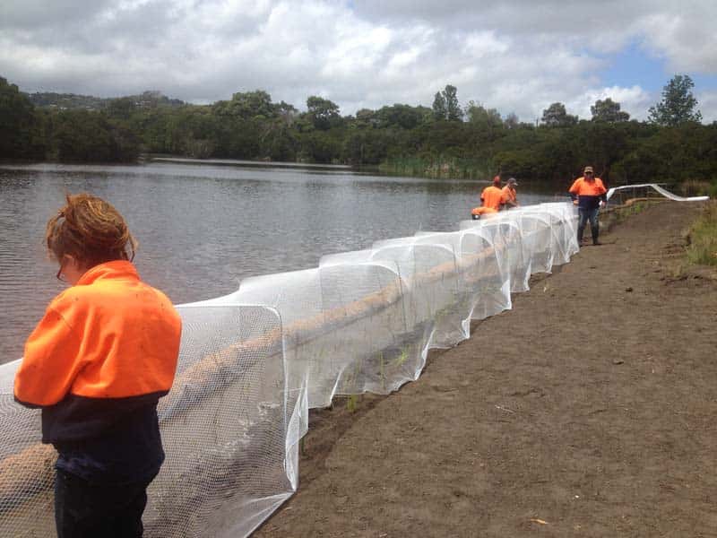 Worker beside white netting along a lake