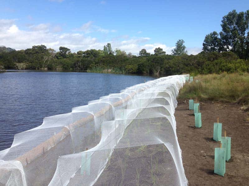 White netting along a planted lakeshore