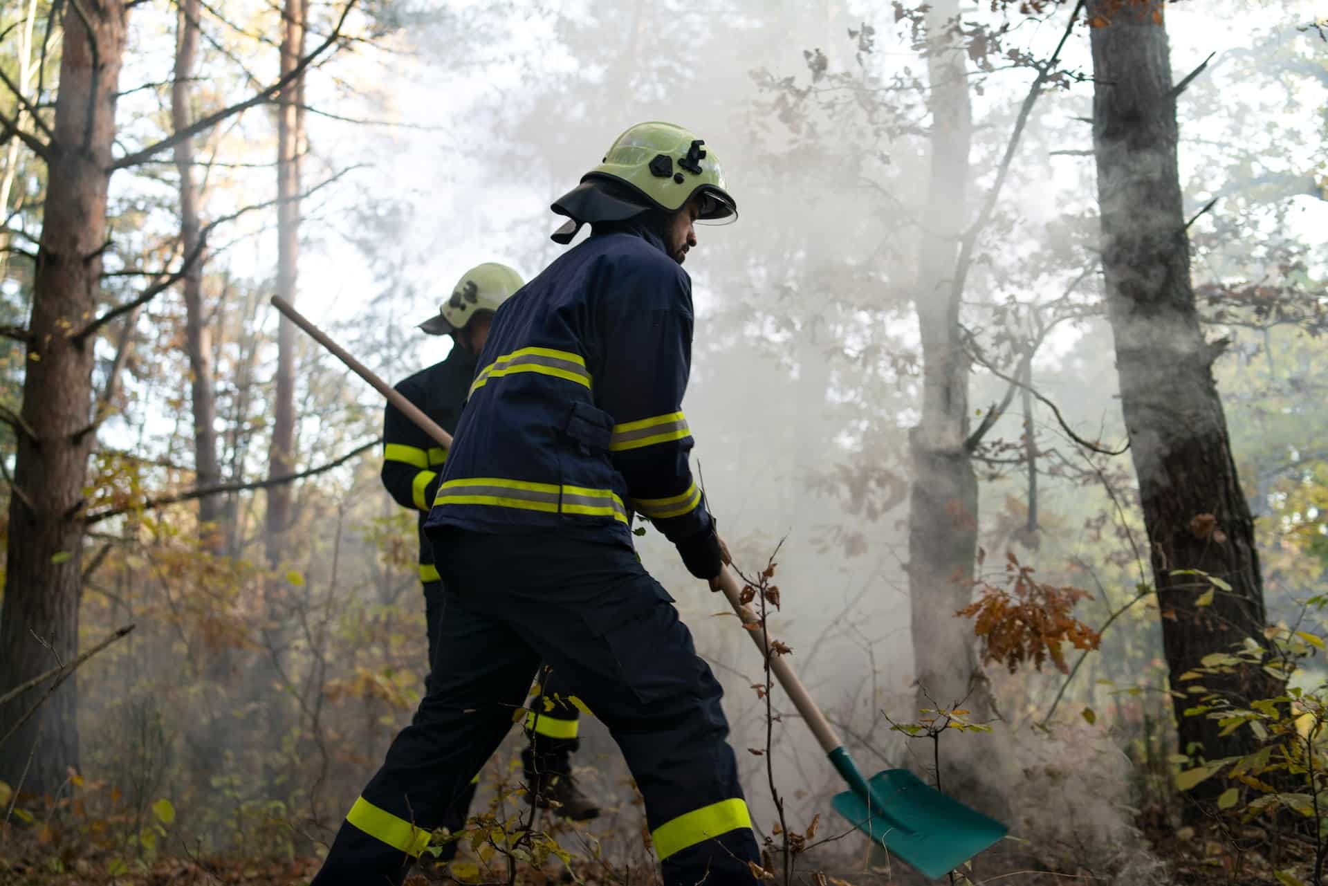 Bushfire Management Strategies for a Sustainable and Safer Environment Bushfire Management Strategies for a Sustainable and Safer Environment