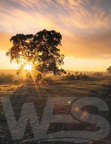 Sunrise over rural landscape