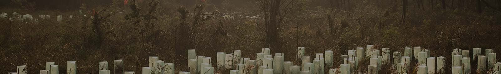 Erosion and sediment control works on a Woods Environmental Services site
