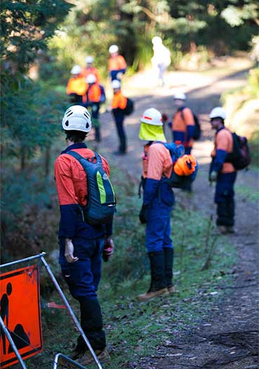 Team working on a trail