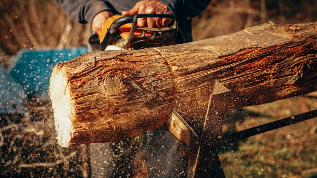 Man cuts log with chainsaw
