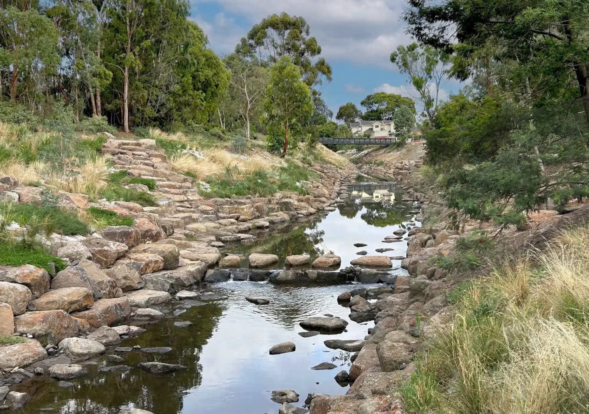 Rocky stream with lush greenery