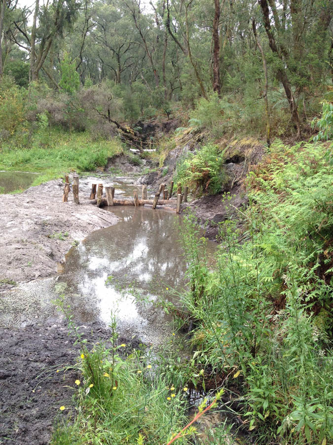 Wooden posts in creek bed