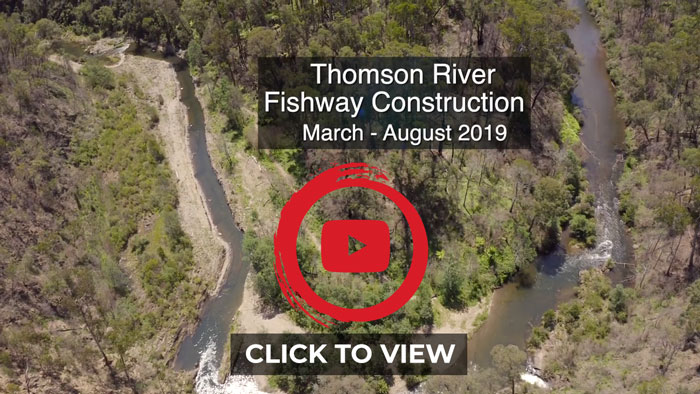 thomson river video