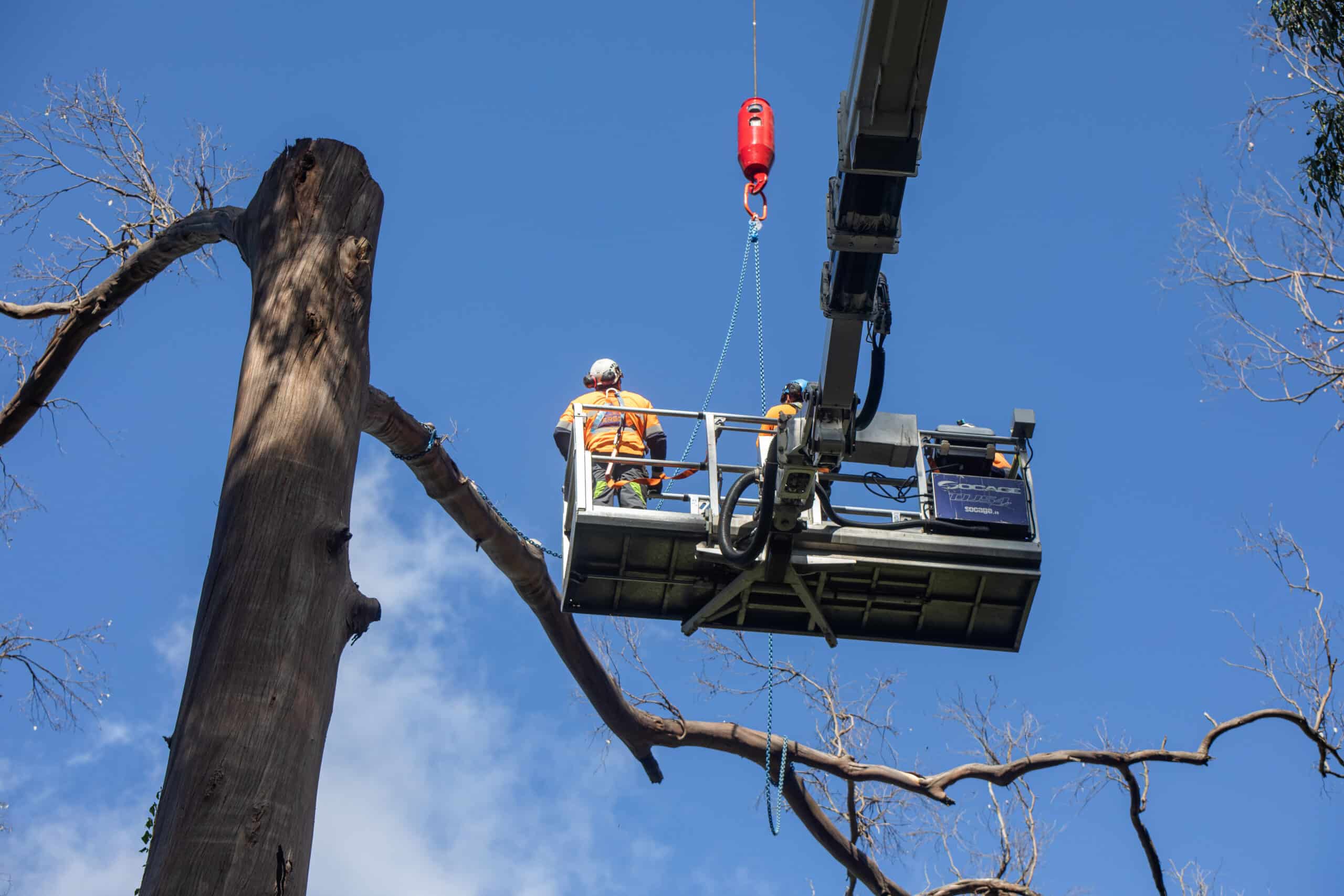 Workers in aerial lift